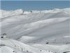 IMG_1092
