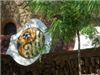 CIMG4315
