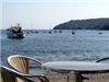 IMG_0371
