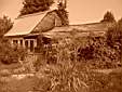 cimg0417.jpg